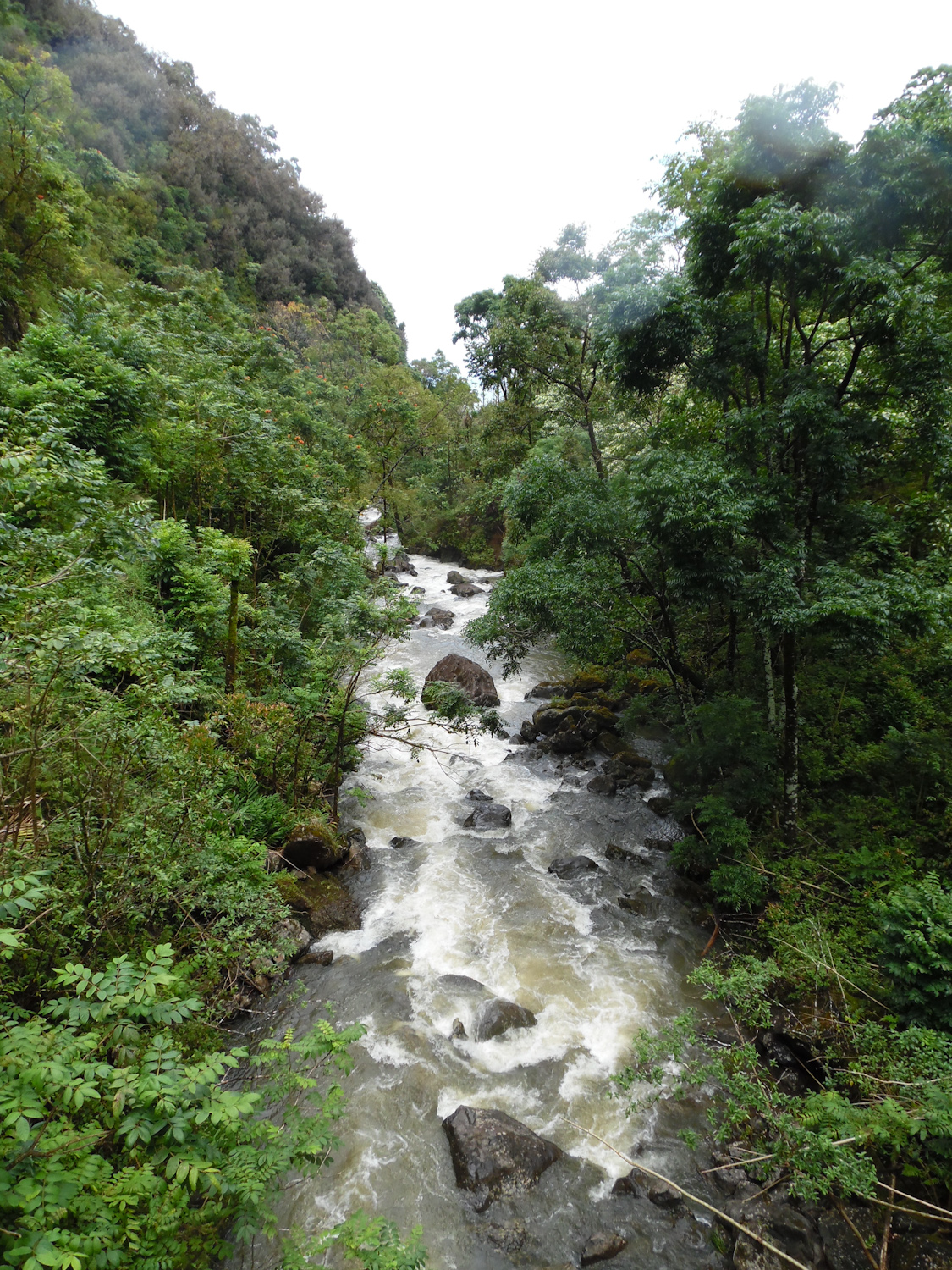 Hana road water falls